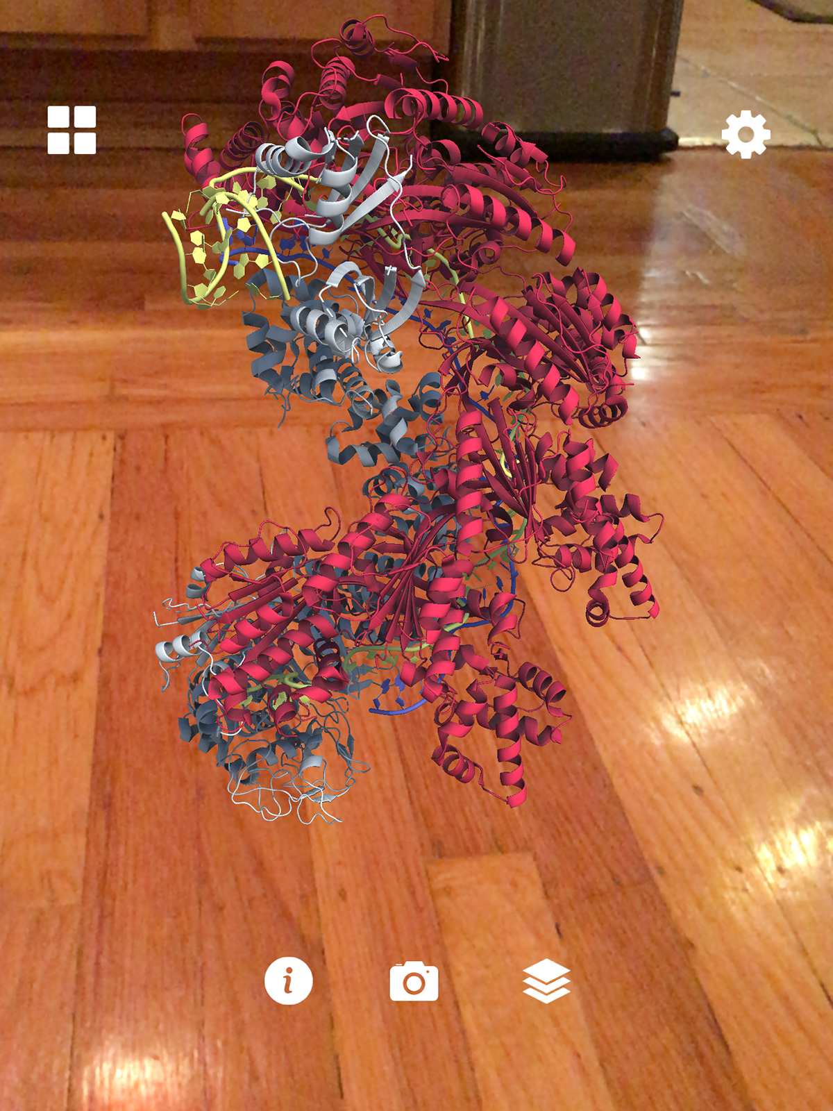CRISPR-3D