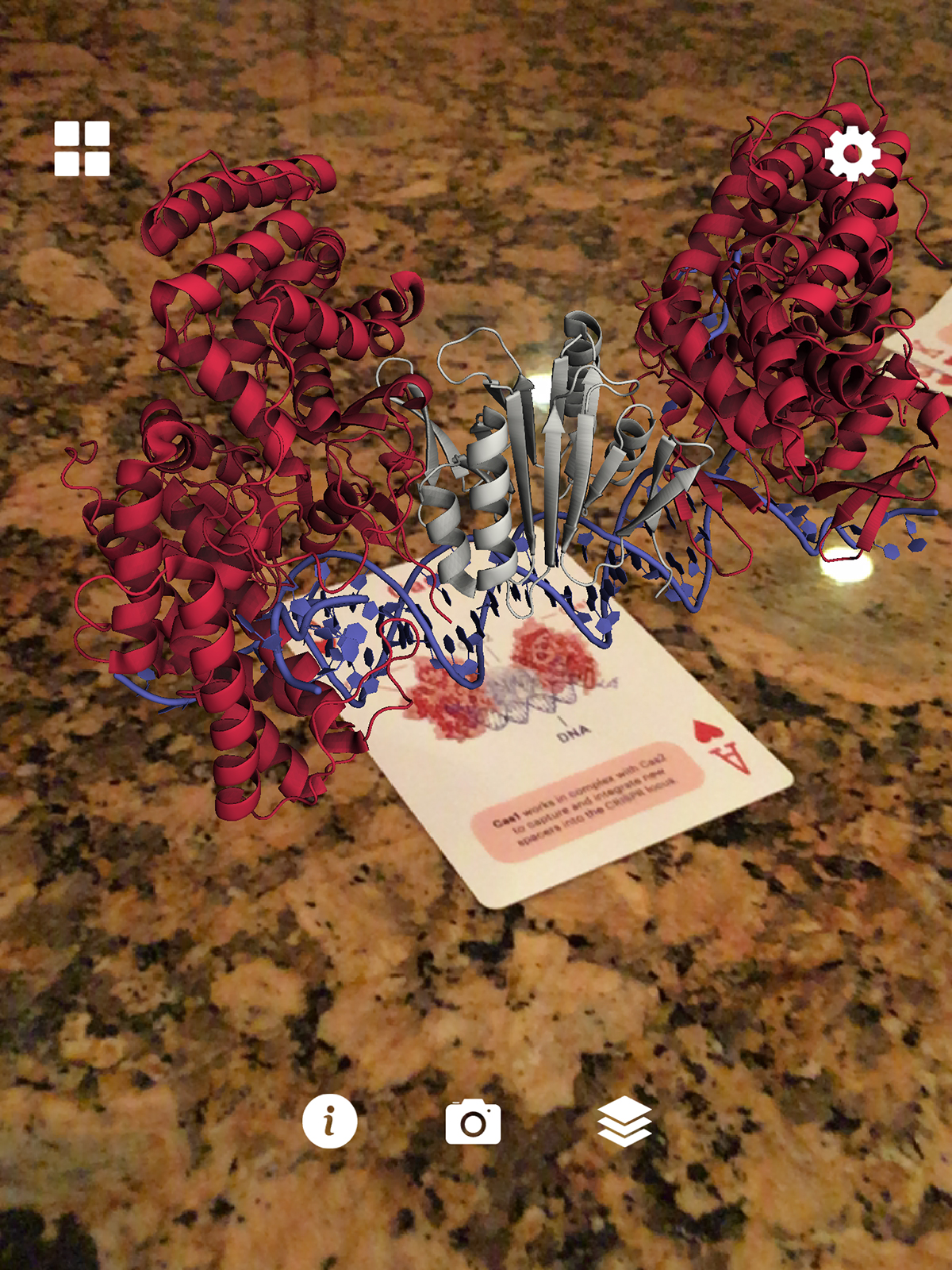 CRISPR-3D